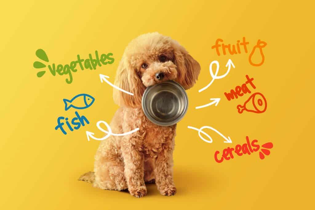 Zutatenmix für Bio Hundefutter mit Hund