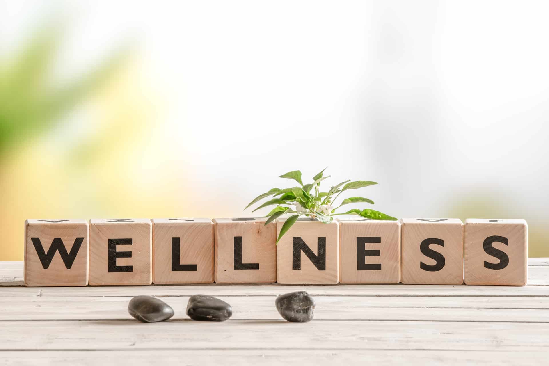 Wellness-Schriftzug mit Pflanze als Symbol für Entspannung | Detangler Brush

