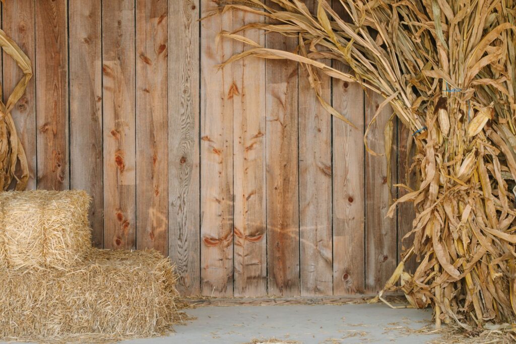 Holzstallwand mit gelagerten Strohballen und Maisstängeln – symbolische Darstellung von traditioneller Stalleinrichtung